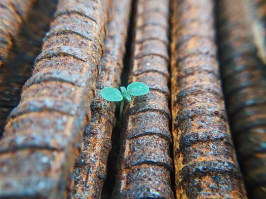 Hope is often found in unlikely places.